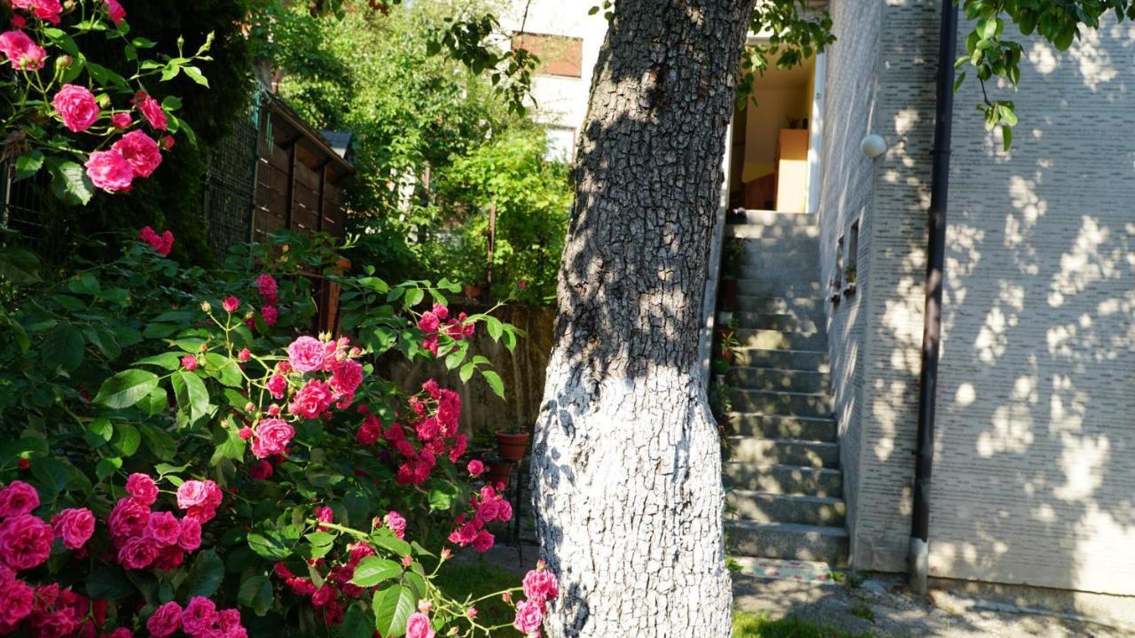 Hedgehog'S Home - Jezeva Kucica Free Parking Szarajevó Kültér fotó