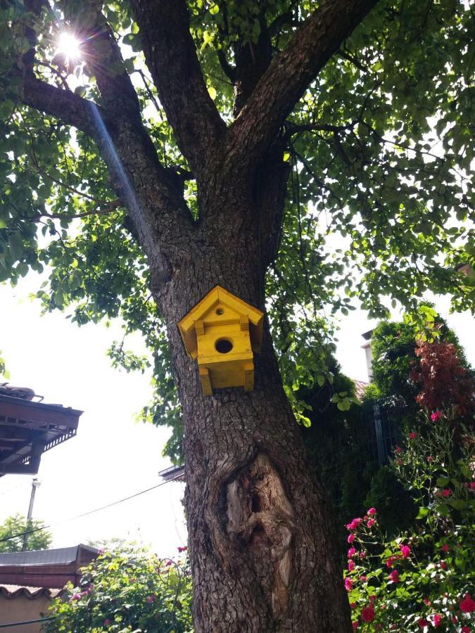 Hedgehog'S Home - Jezeva Kucica Free Parking Szarajevó Kültér fotó