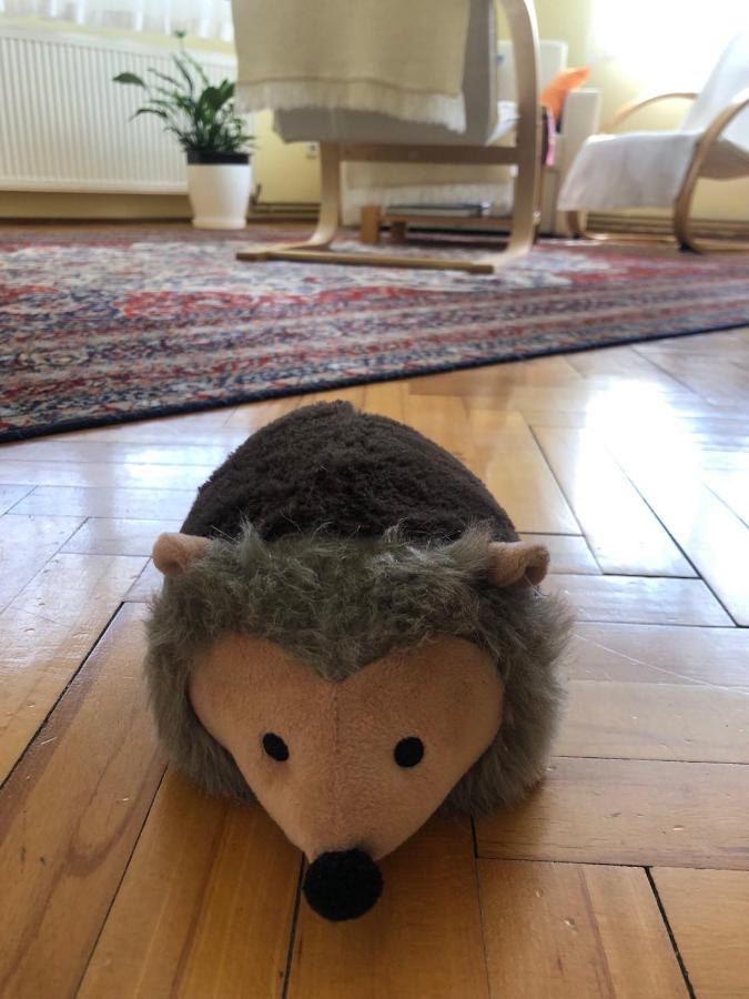 Hedgehog'S Home - Jezeva Kucica Free Parking Szarajevó Kültér fotó